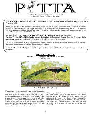 PITTA newsletter cover – July 2015