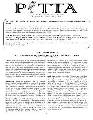 PITTA newsletter cover – August 2015
