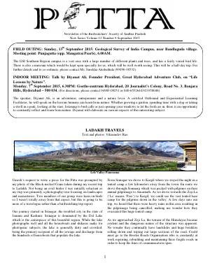 PITTA newsletter cover – September 2015