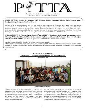 PITTA newsletter cover – October 2015