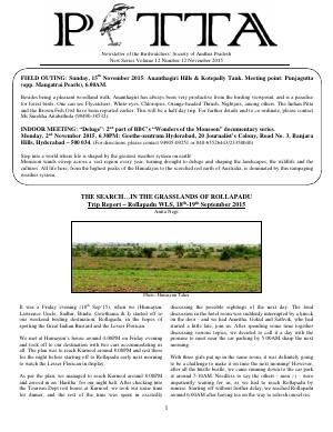 PITTA newsletter cover – November 2015