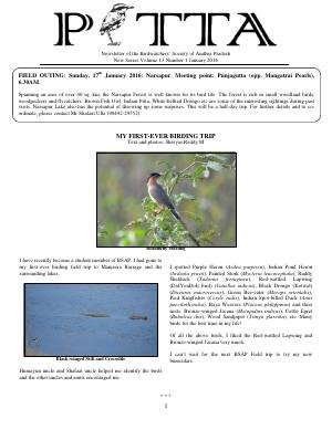 PITTA newsletter cover – January 2016