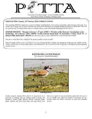 PITTA newsletter cover – February 2016