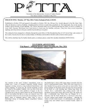 PITTA newsletter cover – May 2016