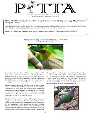 PITTA newsletter cover – June 2016