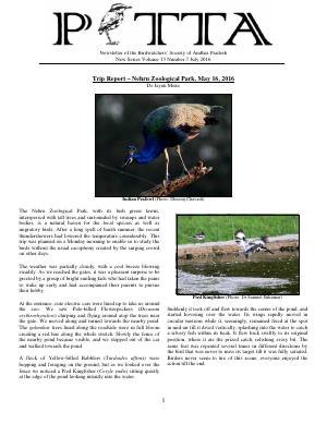 PITTA newsletter cover – July 2016