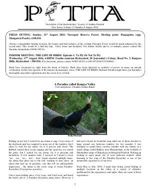 PITTA newsletter cover – August 2016
