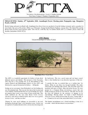 PITTA newsletter cover – September 2016