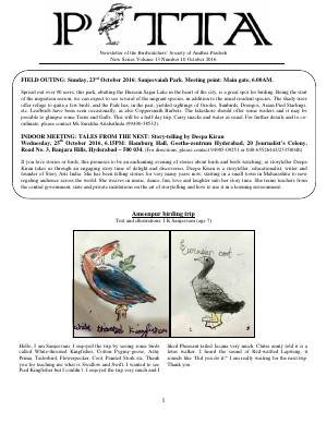 PITTA newsletter cover – October 2016