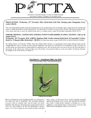 PITTA newsletter cover – November 2016