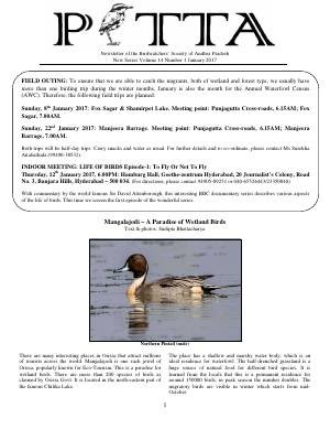 PITTA newsletter cover – January 2017