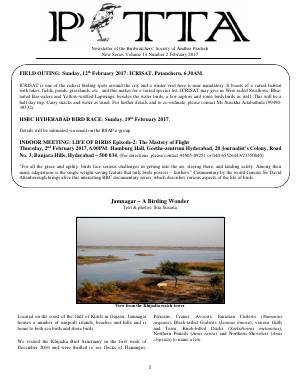 PITTA newsletter cover – February 2017