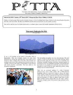 PITTA newsletter cover – March 2017
