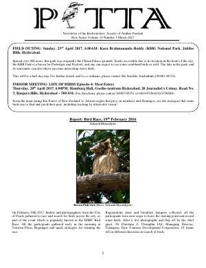 PITTA newsletter cover – April 2017