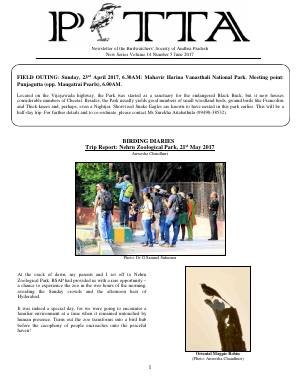 PITTA newsletter cover – June 2017