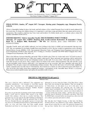 PITTA newsletter cover – August 2017