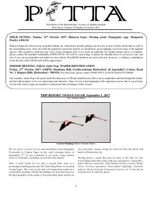 PITTA newsletter cover – October 2017