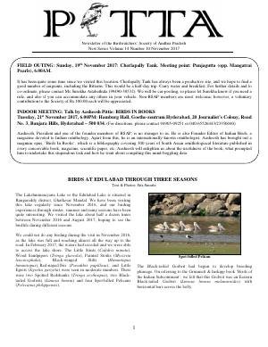 PITTA newsletter cover – November 2017