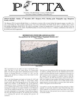 PITTA newsletter cover – December 2017