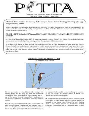 PITTA newsletter cover – January 2018