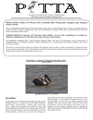 PITTA newsletter cover – February 2018
