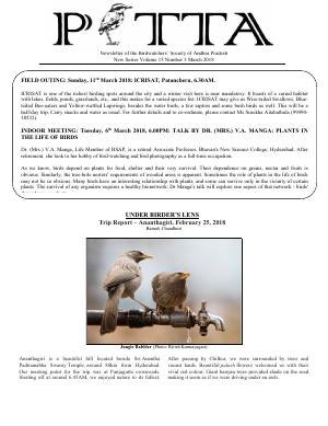 PITTA newsletter cover – March 2018