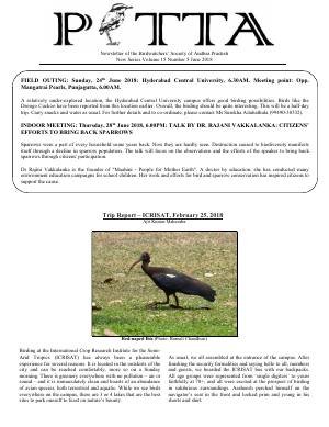 PITTA newsletter cover – June 2018