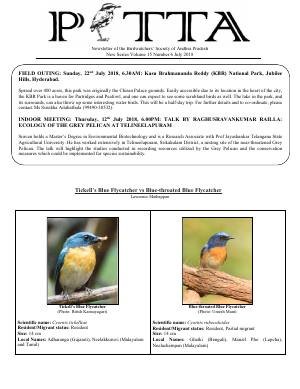PITTA newsletter cover – July 2018