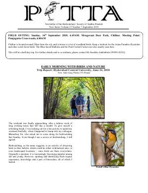 PITTA newsletter cover – September 2018