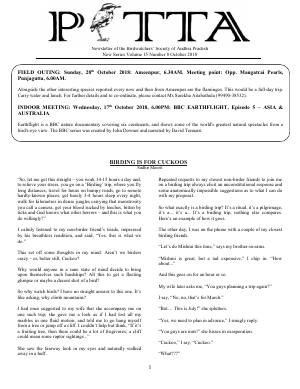 PITTA newsletter cover – October 2018