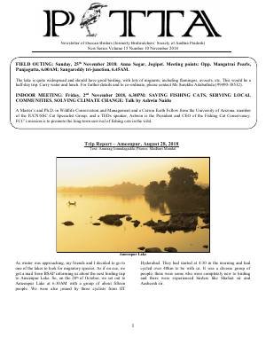 PITTA newsletter cover – November 2018