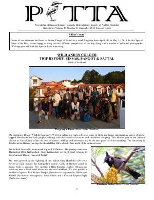 PITTA newsletter cover – Binsar/Sattal/Pangot special, December 2018