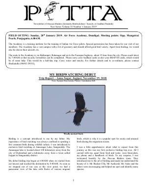 PITTA newsletter cover – January 2019
