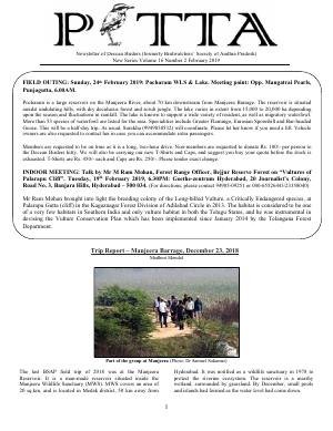 PITTA newsletter cover – February 2019
