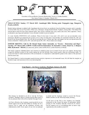 PITTA newsletter cover – March 2019