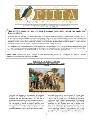 PITTA newsletter cover – May 2019