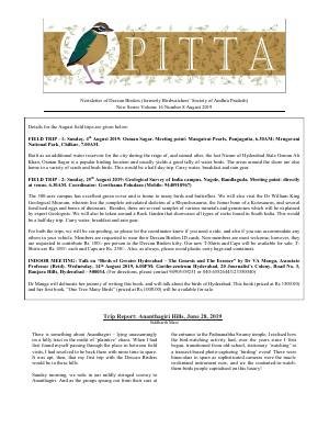 PITTA newsletter cover – August 2019