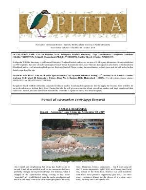 PITTA newsletter cover – October 2019