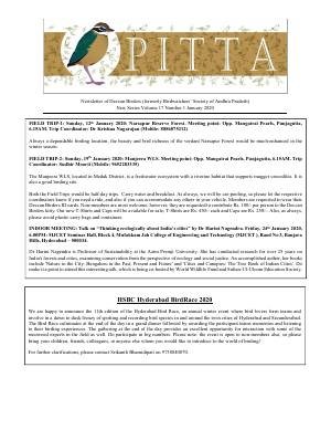 PITTA newsletter cover – January 2020