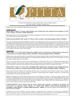 PITTA newsletter cover – February 2020