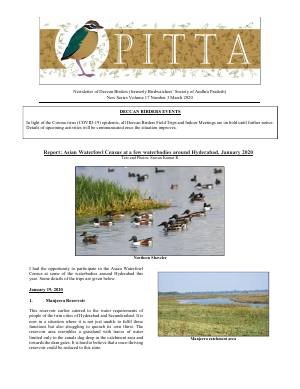 PITTA newsletter cover – March 2020