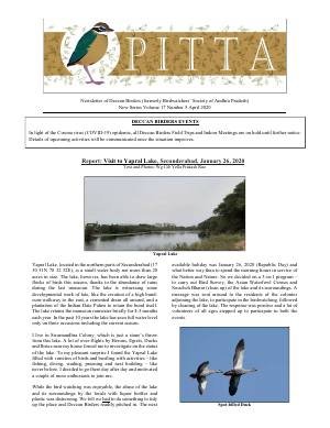 PITTA newsletter cover – April 2020