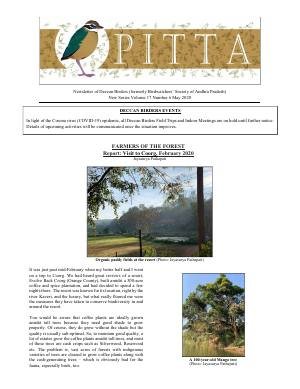 PITTA newsletter cover – May 2020