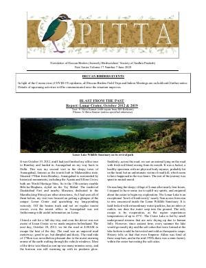 PITTA newsletter cover – June 2020