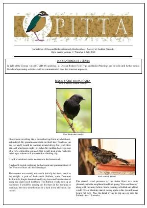 PITTA newsletter cover – July 2020