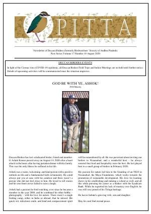 PITTA newsletter cover – August 2020