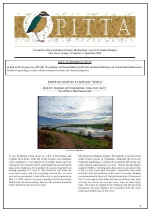 PITTA newsletter cover – September 2020