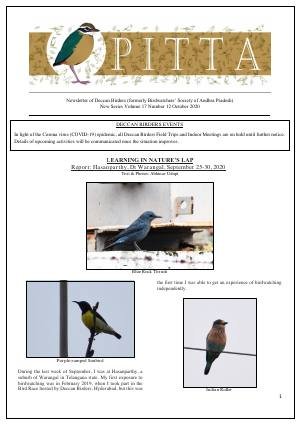 PITTA newsletter cover – October 2020