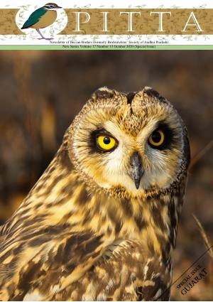 PITTA newsletter cover – Gujarat special, November 2020