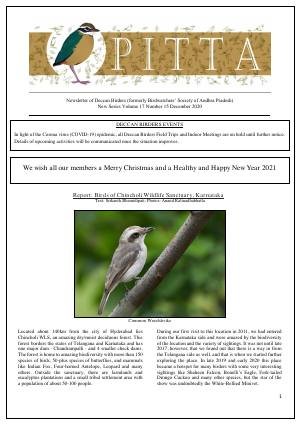 PITTA newsletter cover – December 2020
